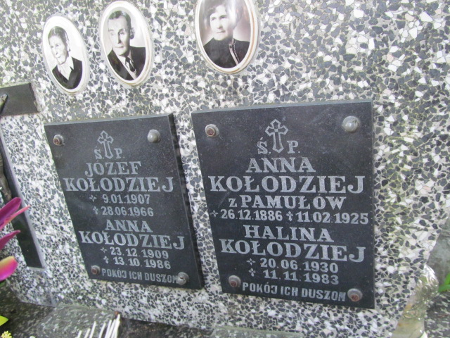 Anna Kołodziej 1886 Szczepanów - Grobonet - Wyszukiwarka osób pochowanych