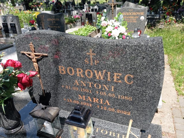 Antoni Borowiec 1931 Szczepanów - Grobonet - Wyszukiwarka osób pochowanych