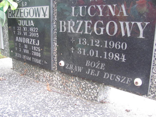 Andrzej Brzegowy 1925 Szczepanów - Grobonet - Wyszukiwarka osób pochowanych